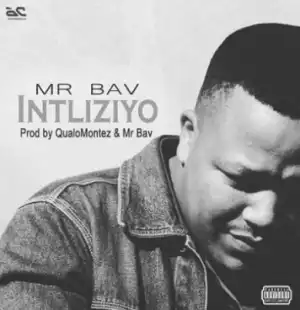 Mr Bav - Intliziyo